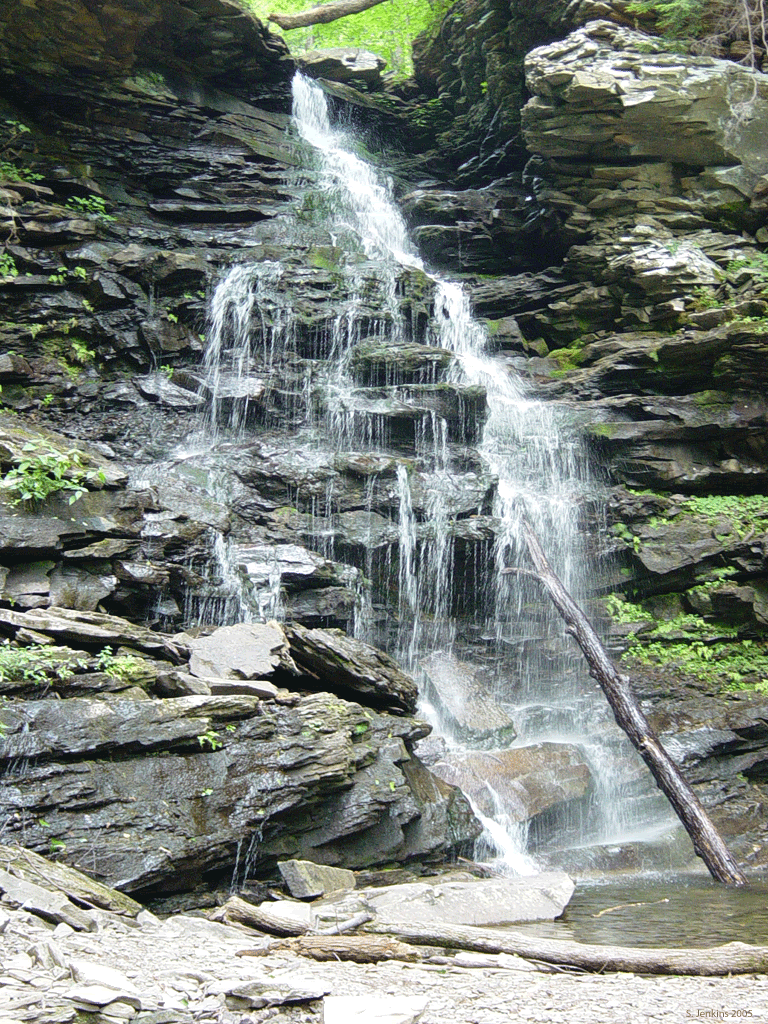 Fall-12.gif