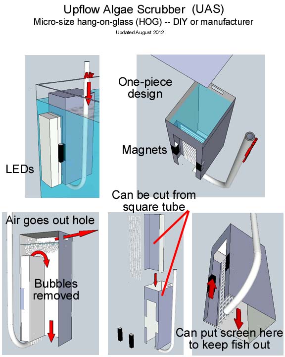 P5.jpg