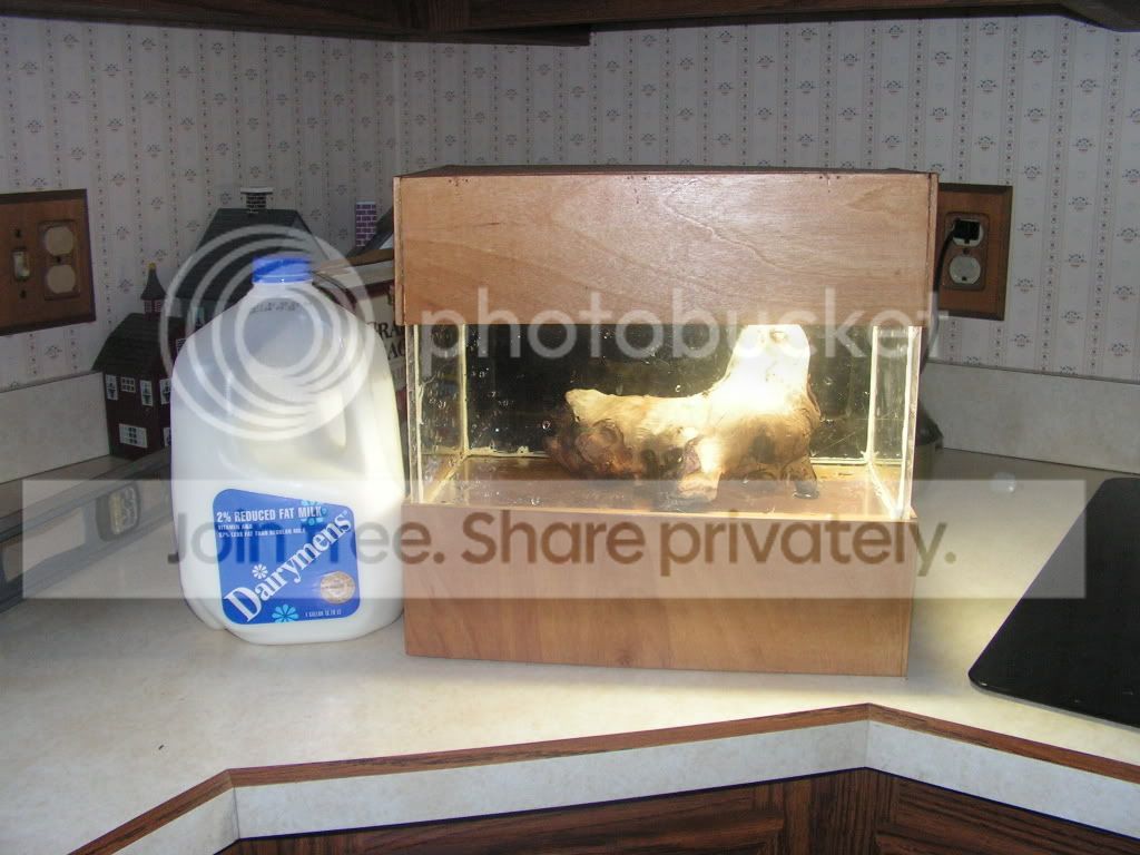 PICT0197.jpg