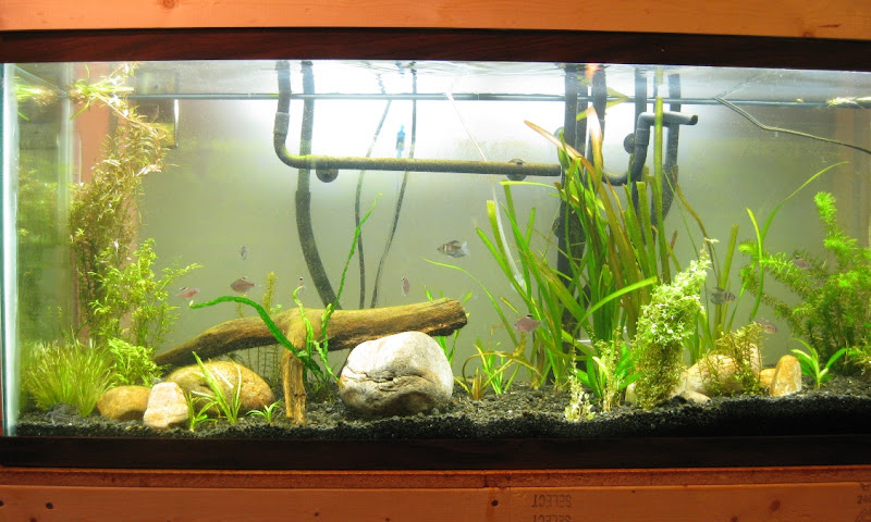fulltank20100730.jpg