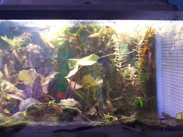 100_0637Small.jpg