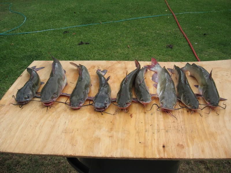 fishingtrip05-20-11002.jpg