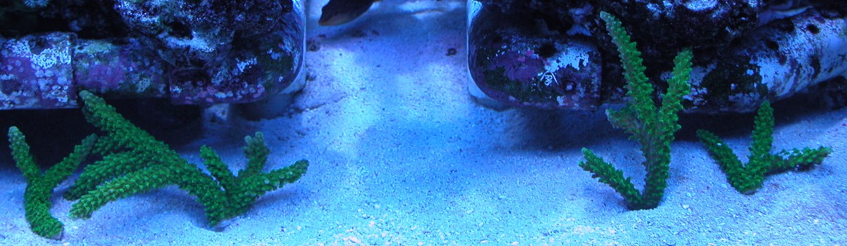 3917983715_020a494574_o.jpg