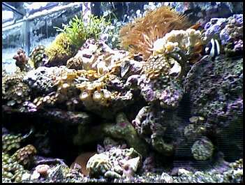 FTS_L_.jpg