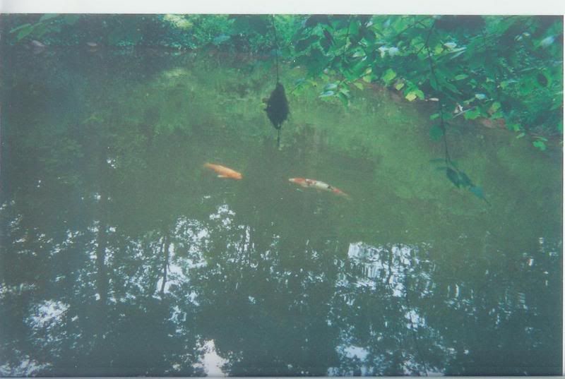 Pondpic.jpg