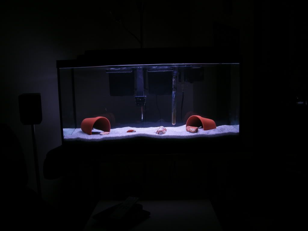 DSCF4253.jpg