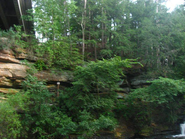 Picture078.jpg