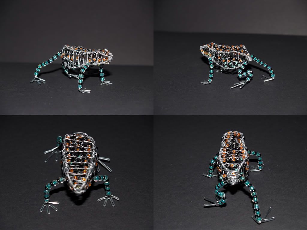 thumbnailfrog.jpg
