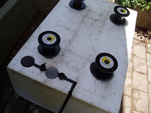 P1010546.jpg