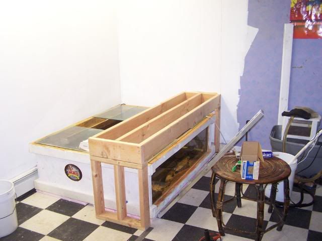 fishwall004.jpg