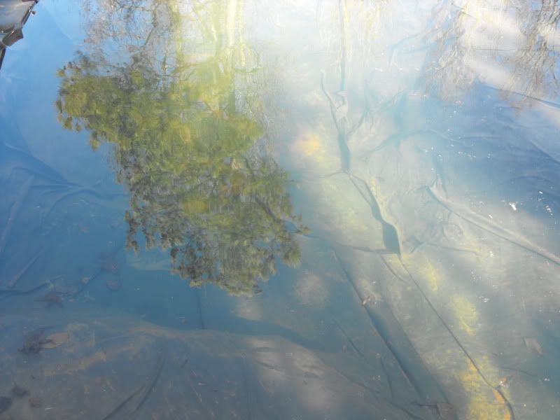 DSCF0005.jpg