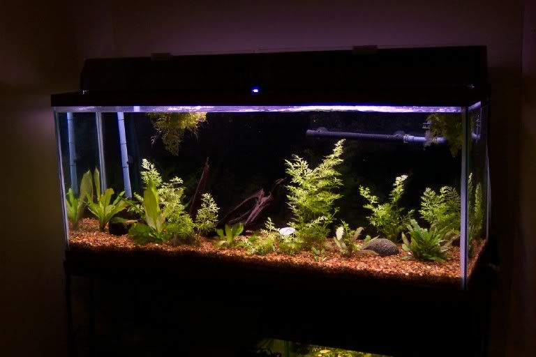 tank55.jpg