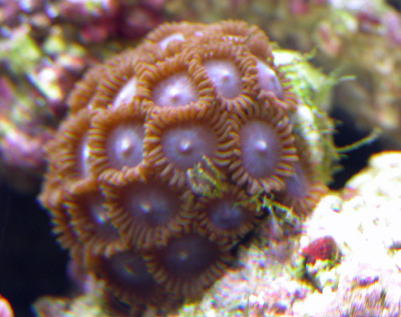 2853729553_23d69ca377_o.jpg