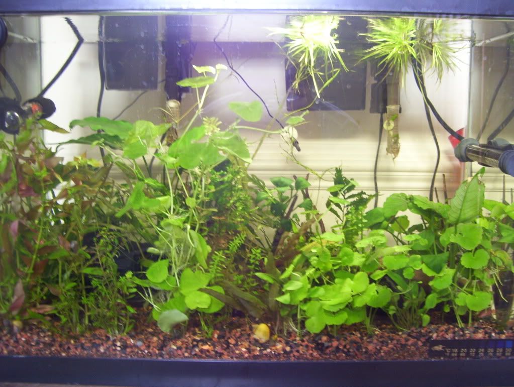 100_4590.jpg