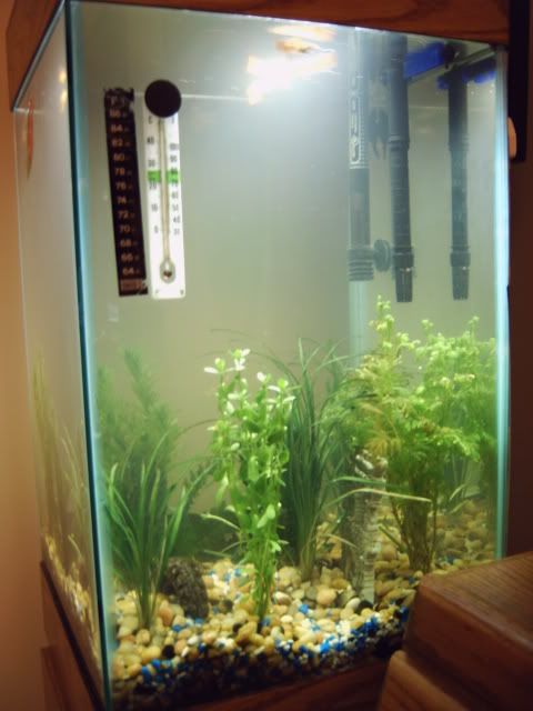 aquarium_002.jpg