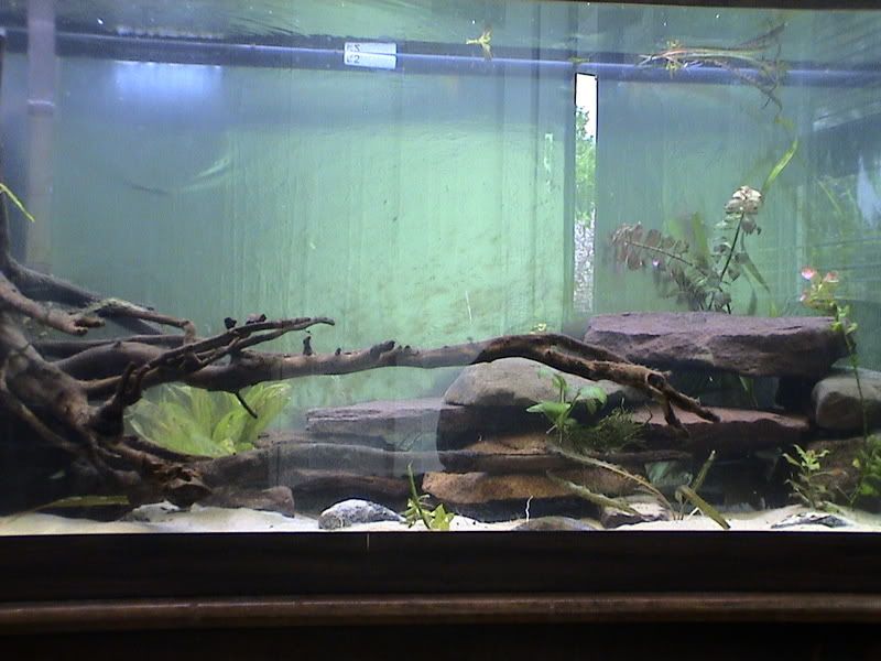 Picture007.jpg