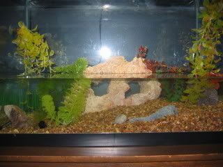 IMG_0010.jpg