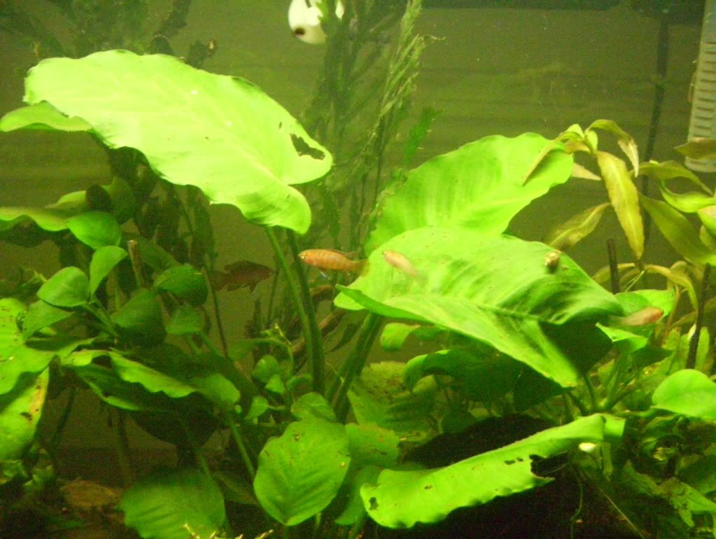 100_4664.jpg