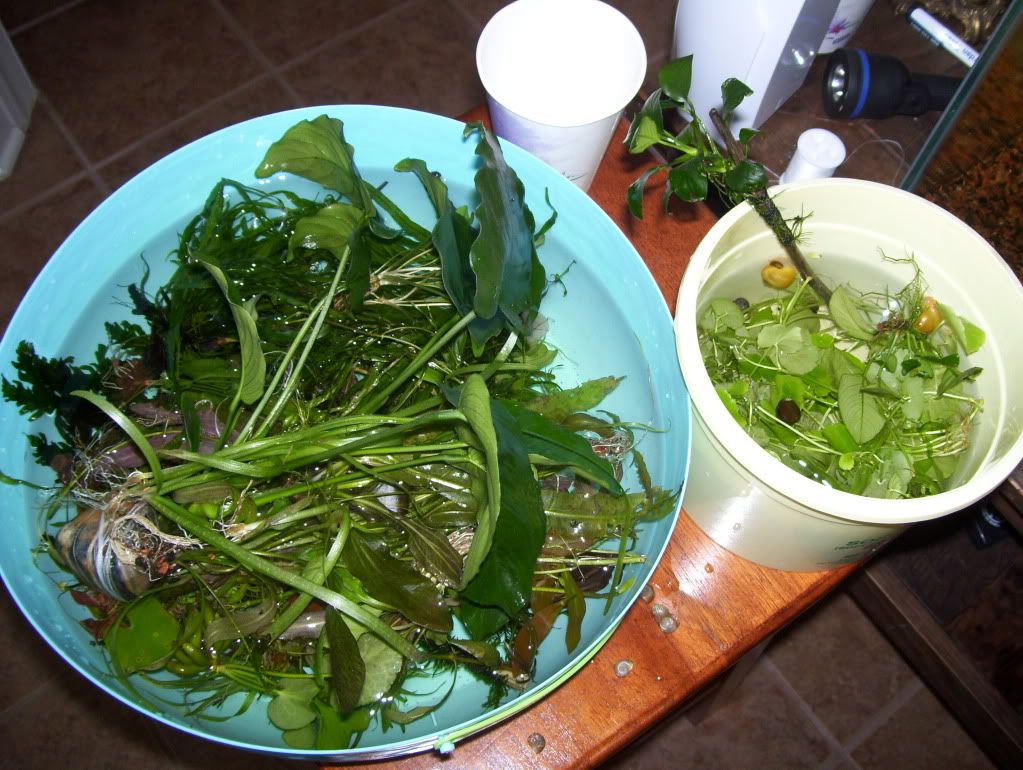 100_4614.jpg