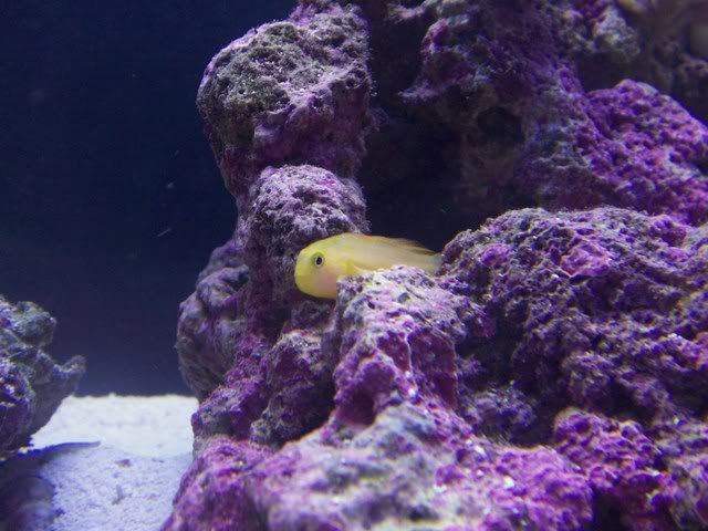 100_3815.jpg
