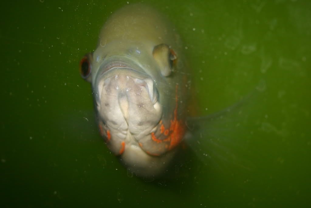 IMG_4765.jpg