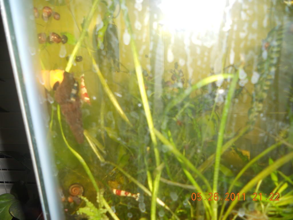 DSCN4802.jpg