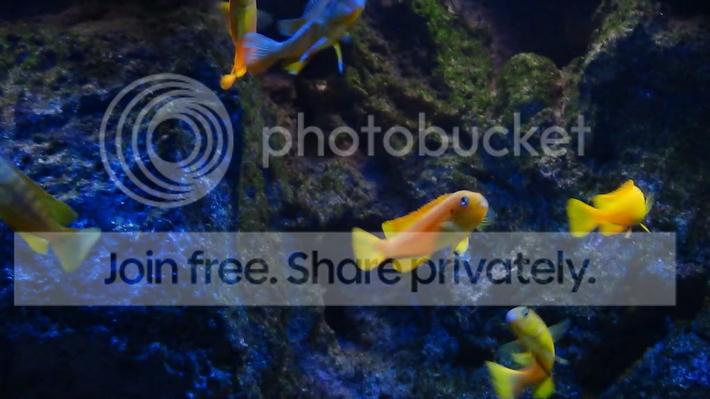 DSC02284.jpg
