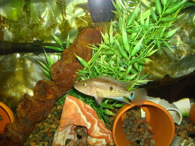 March312008016.jpg