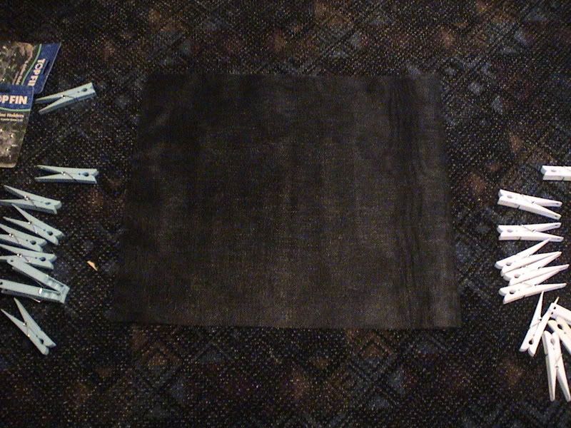 DSC05215.jpg