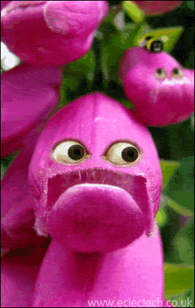 flowerbeewatchanim.gif