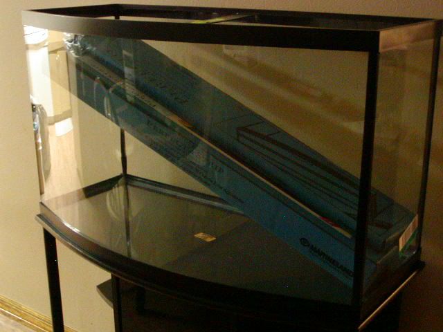 P1010016-13.jpg
