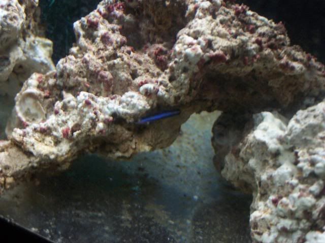picture034.jpg