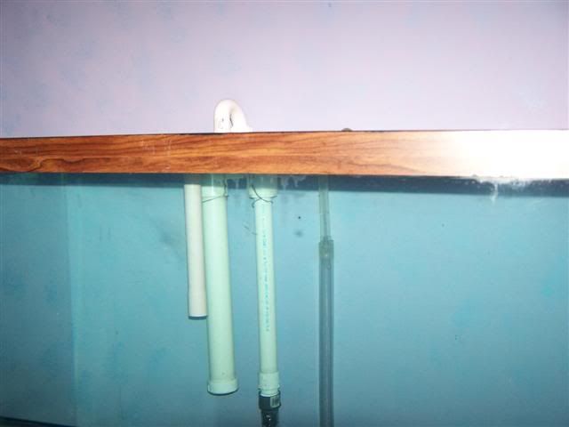 100_0593Small.jpg