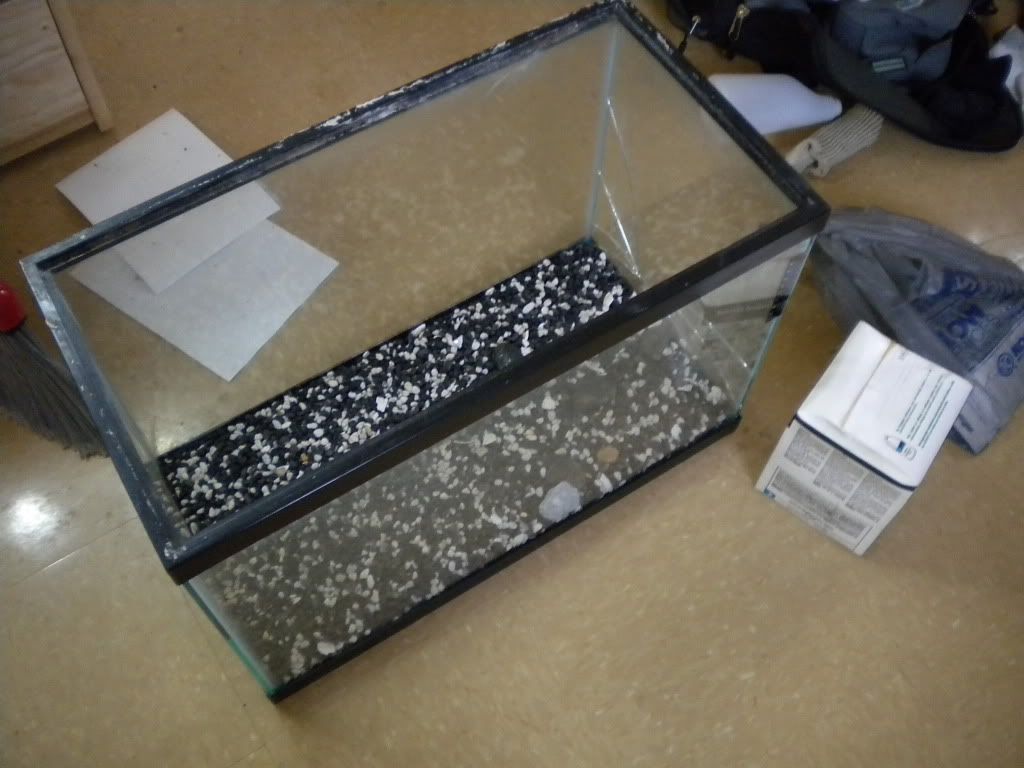 DSCN0318.jpg