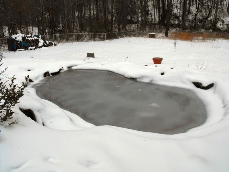 January2011003.jpg