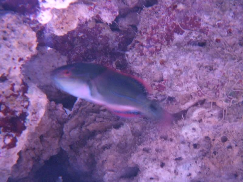 DSCN1707.jpg