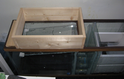 UserCardBoardBoxProcessorOnMFT-2.jpg