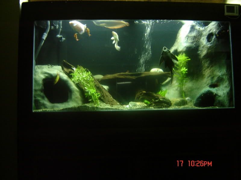 DSC01332.jpg