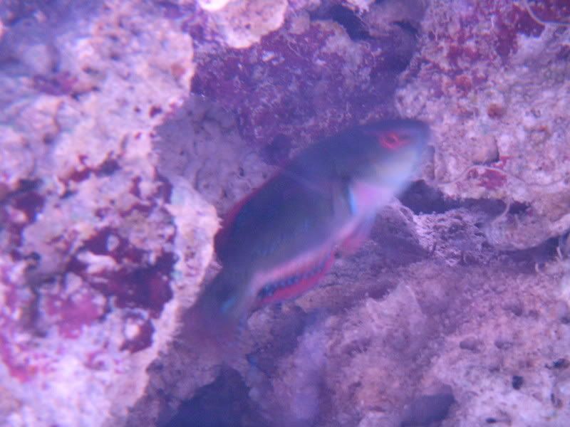 DSCN1709.jpg