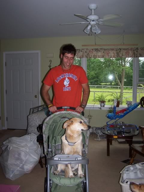 Picture136.jpg