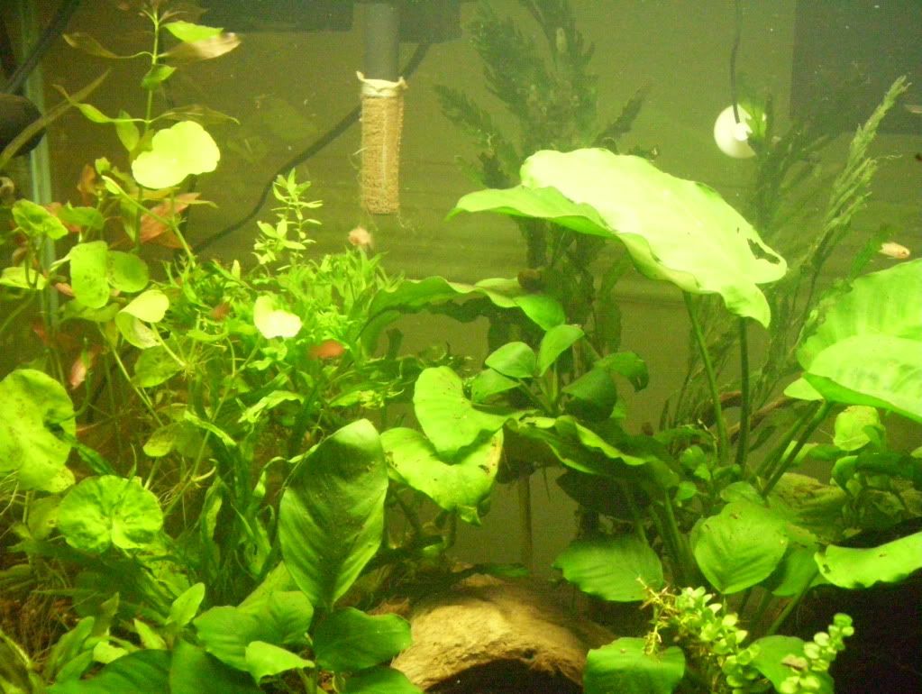 100_4667.jpg