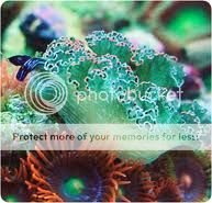 images-7.jpg