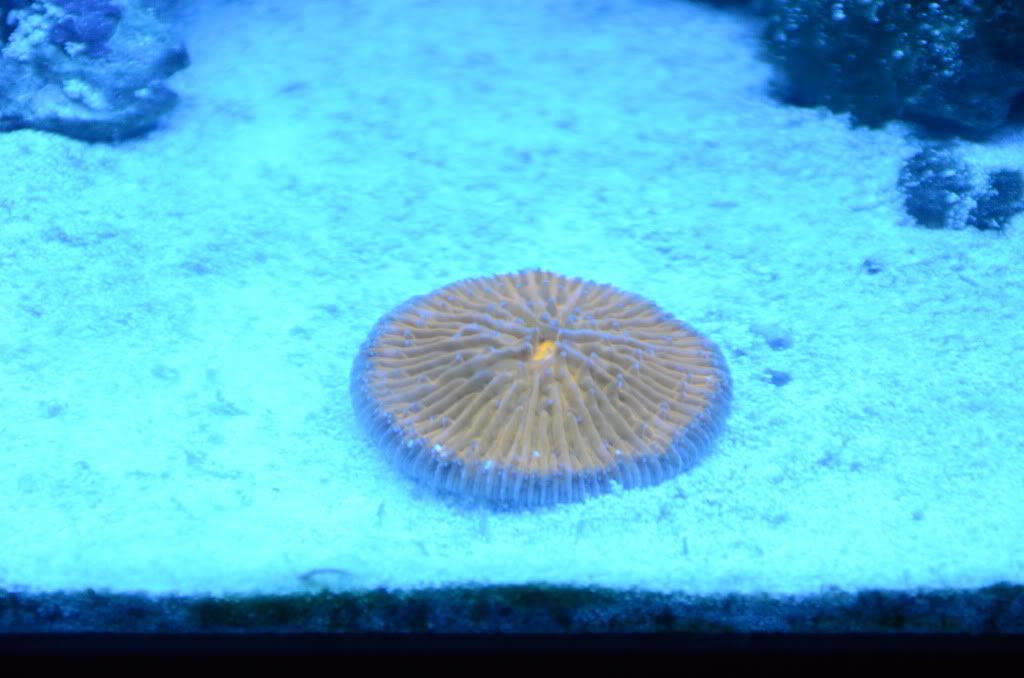 DSC_0779.jpg
