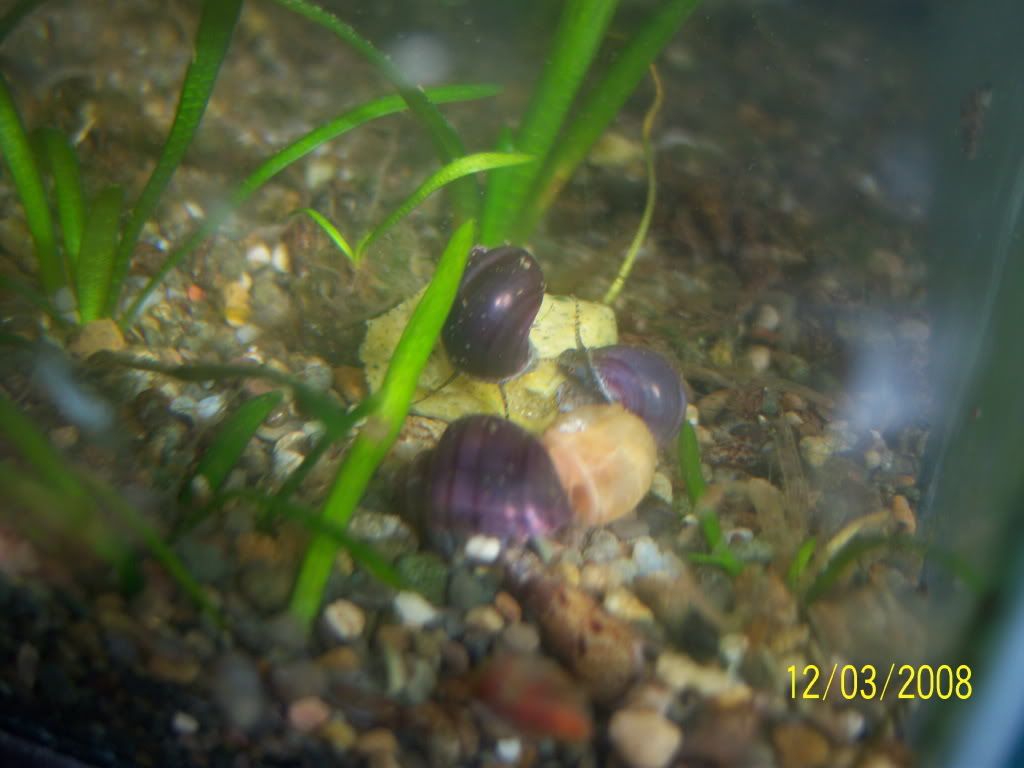 100_1134.jpg