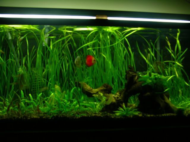 DSCN3479.jpg