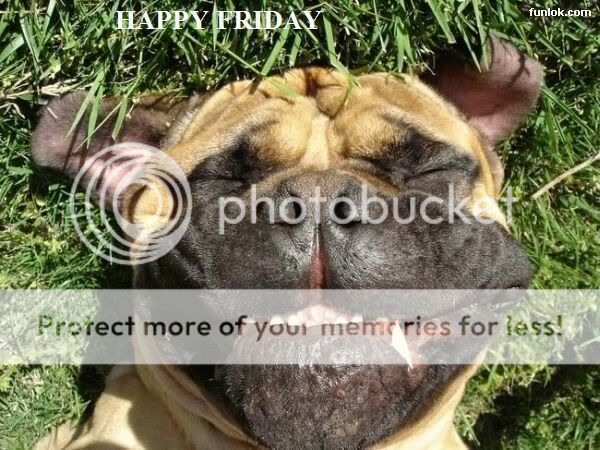 HappyFridayDog.jpg