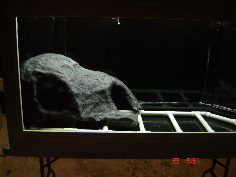 DSC02797.jpg