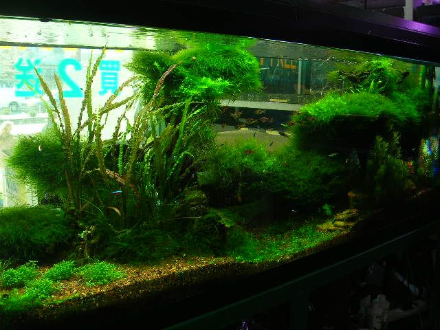 DSCN7789.jpg