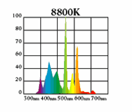 8800KColorQuestBulb.gif