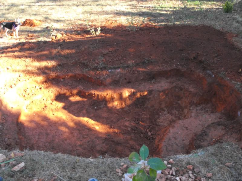November2010002.jpg
